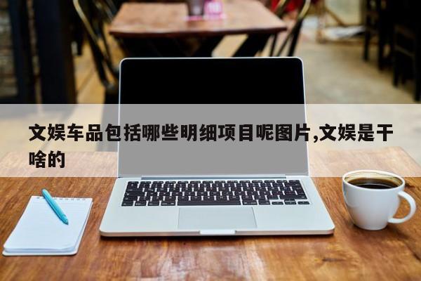 文娱车品包括哪些明细项目呢图片,文娱是干啥的