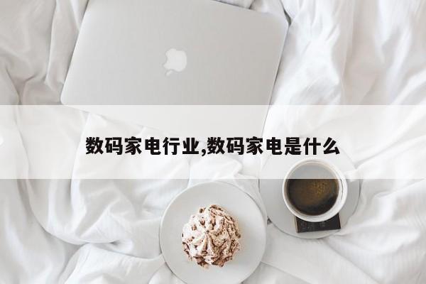 数码家电行业,数码家电是什么